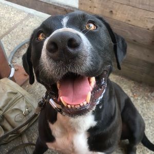 Meet your Posher, Nadya